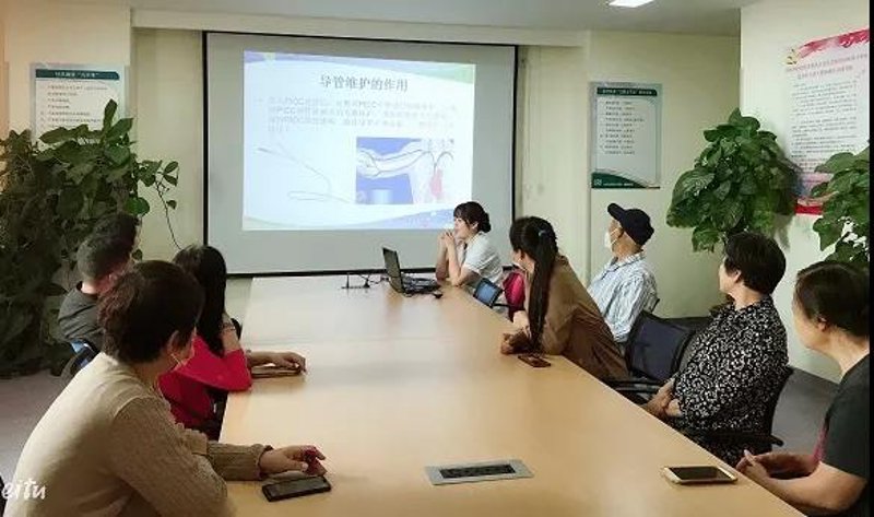 AI站群：互联网新时代的信息构建者